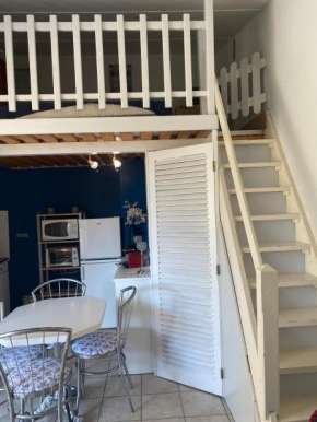 Joli appartement mezzanine avec parking La Roquille
